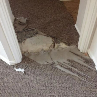 Carpeted hallway with a significant section of the carpet torn and exposing damaged subfloor underneath.