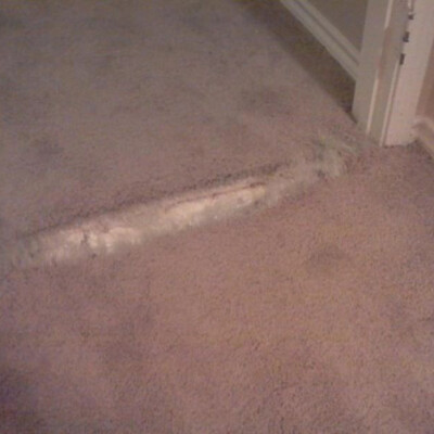 Damaged beige carpet with a large, frayed tear near a doorway, exposing the padding underneath. The tear runs horizontally and is located in a narrow hallway.