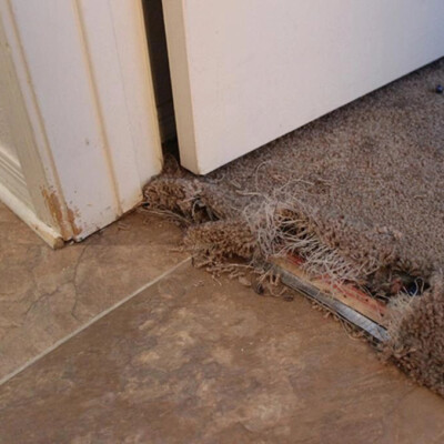 A door separates a tiled floor from a carpeted one, with the carpet frayed and partially detached near the doorway.