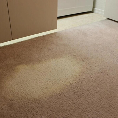 A beige carpet with a large stained spot near the edge of a tiled floor in a room with cabinets and an open door.