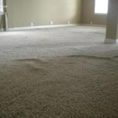 A carpeted room with visible ripples and bumps in the carpet, indicating possible improper installation or settling. The room has beige walls and two windows with blinds.