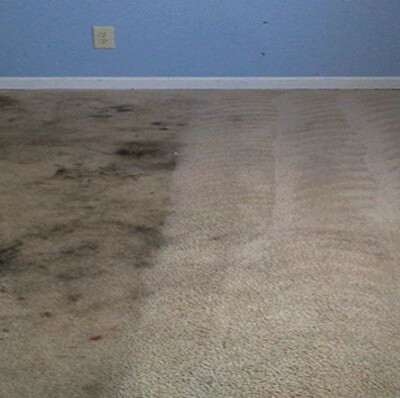 Photo of a room with beige carpet; one side is heavily stained and dirty, while the other side is clean, showing clear vacuum lines. Blue wall with an electrical outlet in the background.