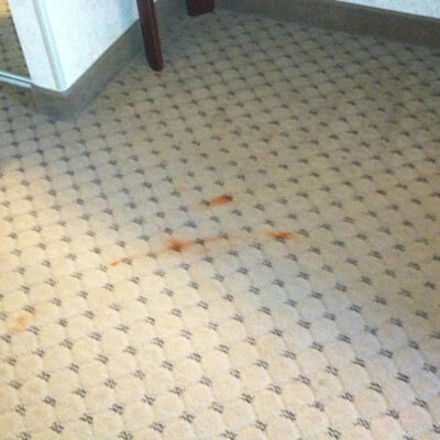Carpeted floor with several rust-colored stains near a closet mirror.