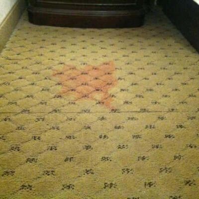 A patterned carpet with a visible red stain in the center and a frayed edge near the top left.